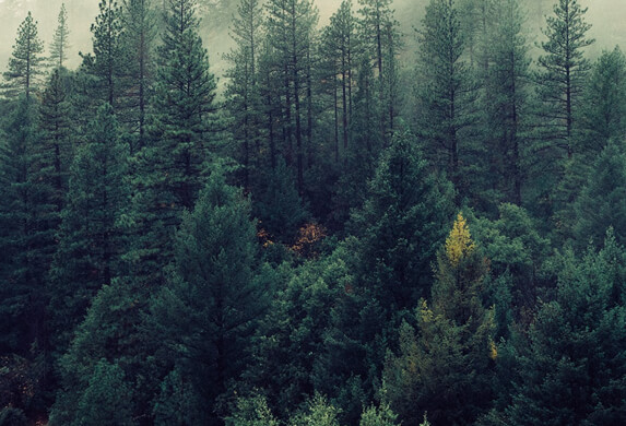 It is possible that some negative effects of modafinil might not have been reported.